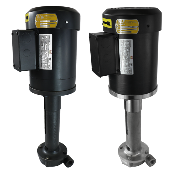 RAE CF Series CFV-A34 Cast Iron and Stainless Steel Models Coupling-Free Pump
